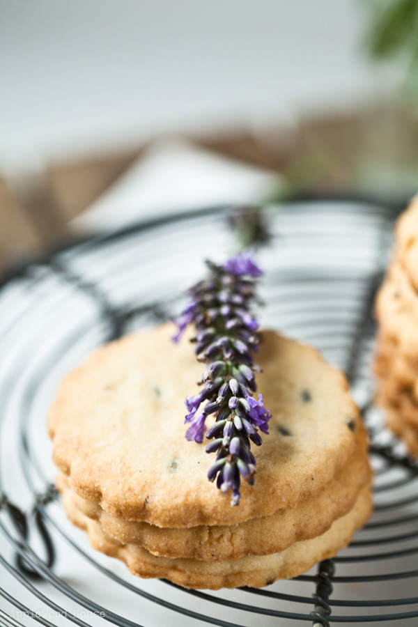 Kekse mit Lavendel, so schmeckt der Sommer als Plätzchen!